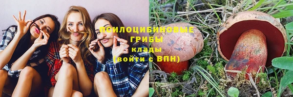 дживик Ступино