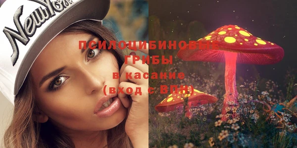 дживик Ступино