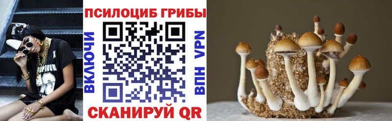 Галлюциногенные грибы ЛСД  MEGA как зайти  Ярцево 